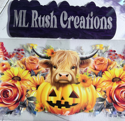 HYLAND COW PUMPKINS